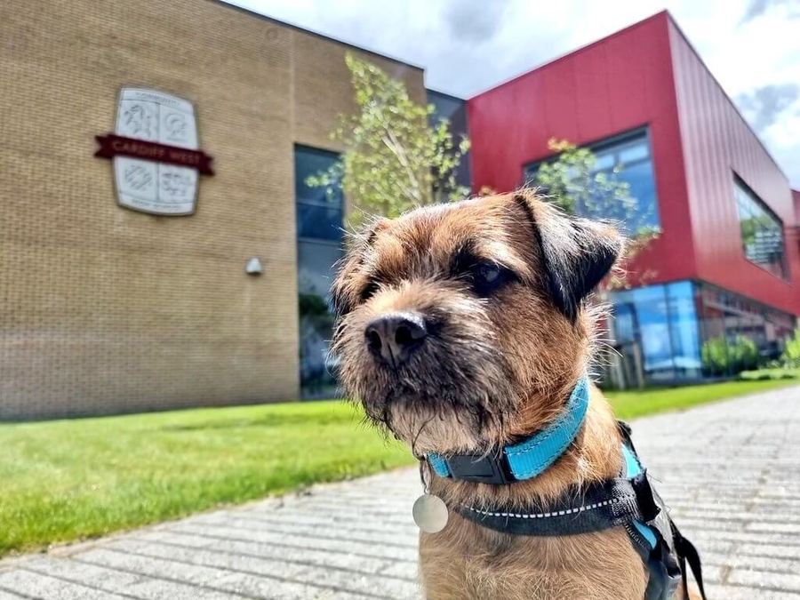 Baxter outside Cardiff West Community High School