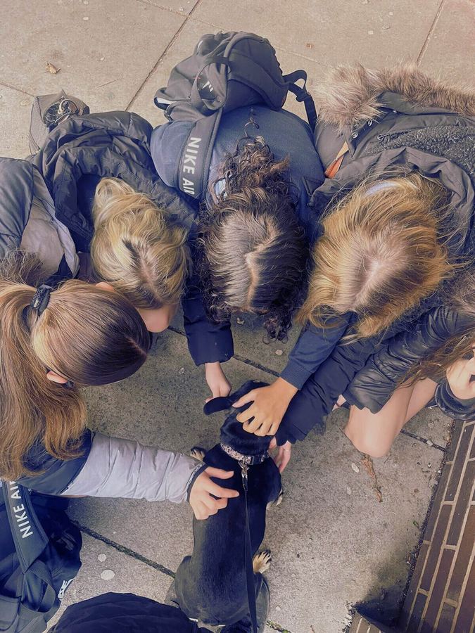 Pupils gather round a Baxter Project companion dog
