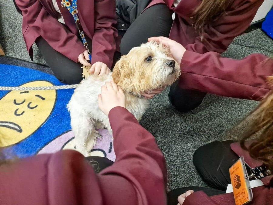 Pupils at Bryn Celynnog Comprehensive School with a Baxter Project dog