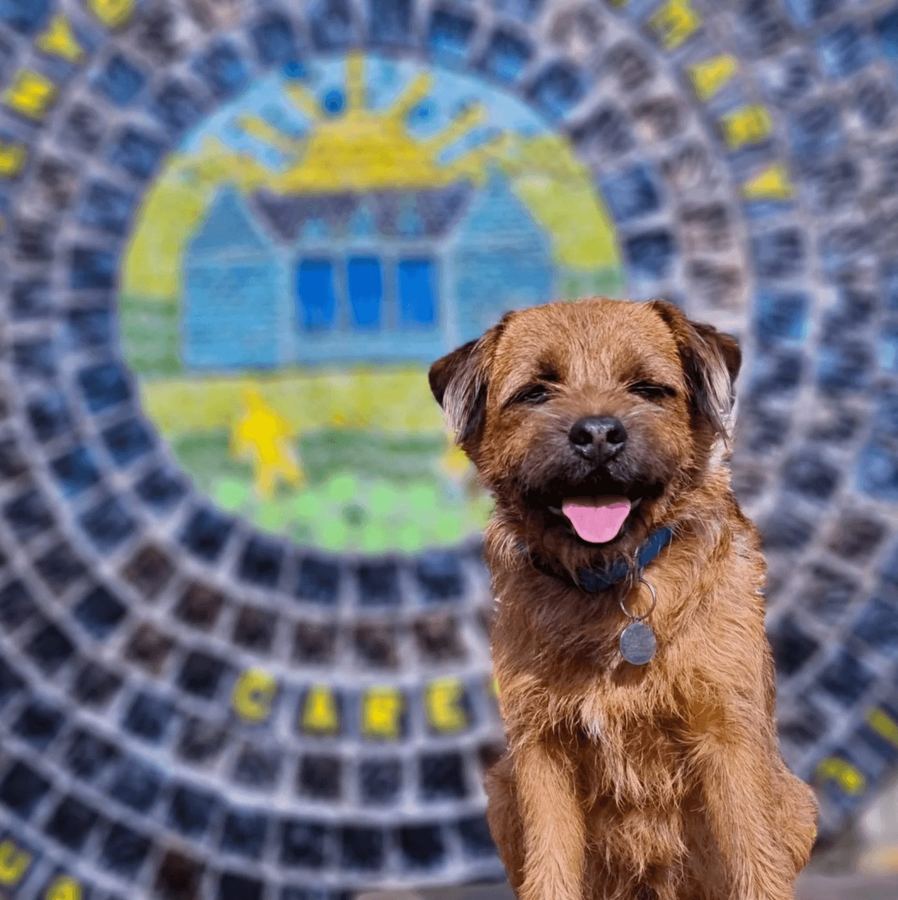 Baxter in front of a school mosaic mural