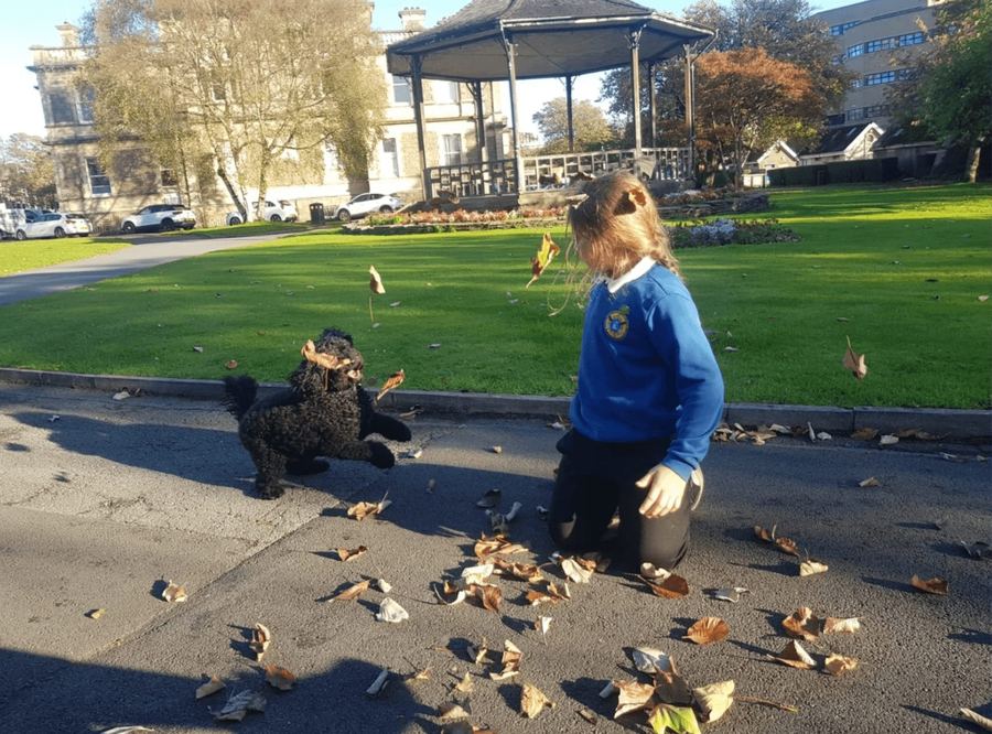A pupil playing with a Baxter Project companion dog