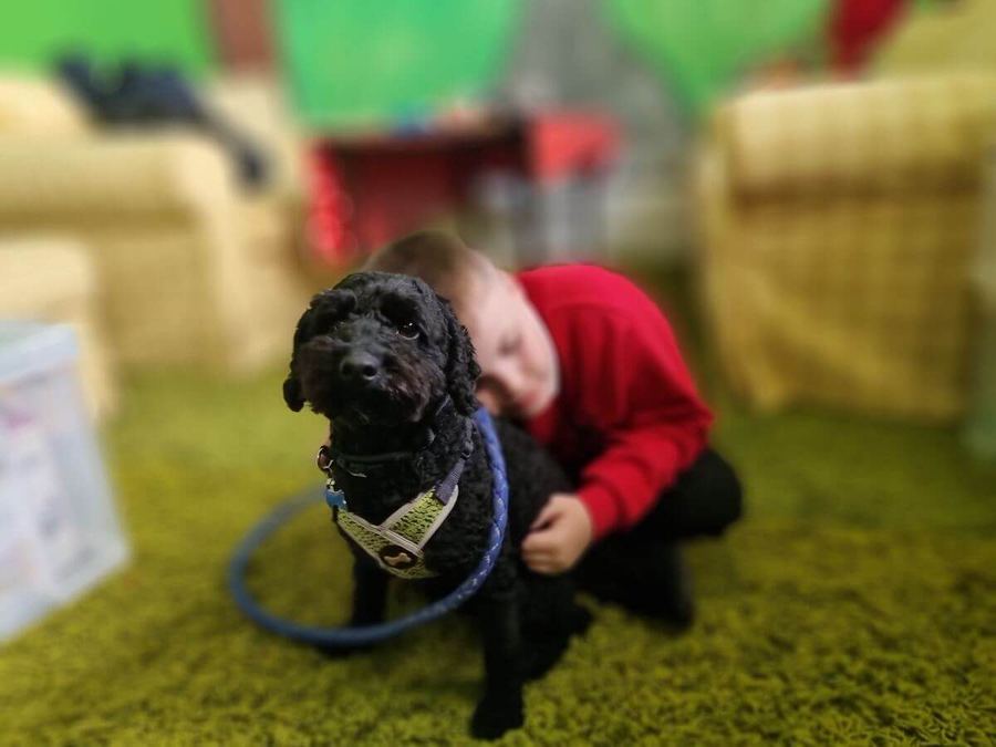 A pupil with a Baxter Project companion dog