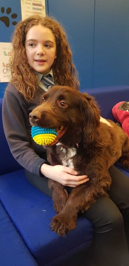 A pupil with a Baxter Project companion dog