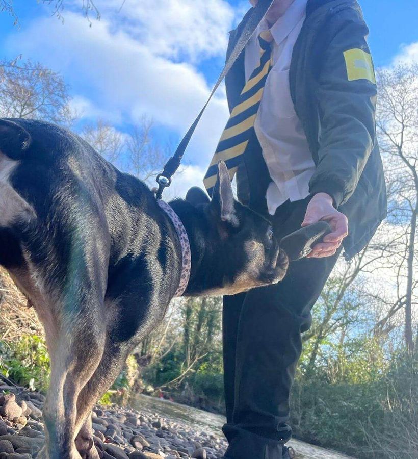 A pupil and a Baxter Project companion dog on a riverside walk